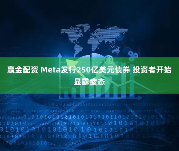 赢金配资 Meta发行250亿美元债券 投资者开始显露疲态